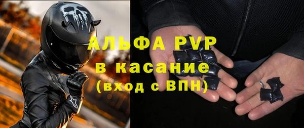СК Новодвинск