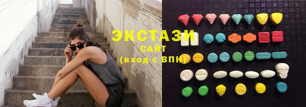 гашик Алексин