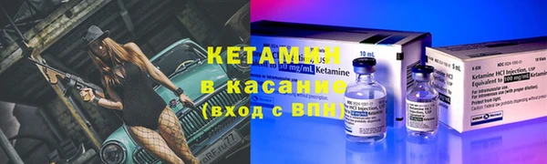 гашик Алексин