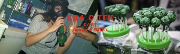 ECSTASY Алзамай