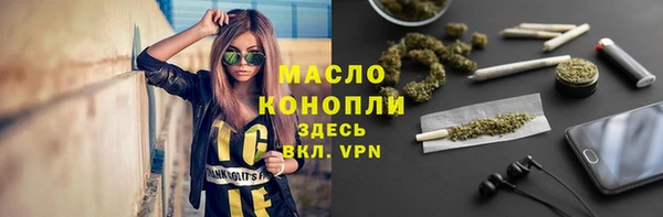 гашик Алексин