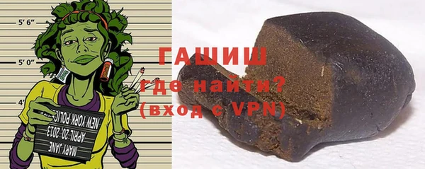 гашик Алексин