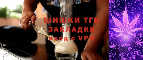 ECSTASY Алзамай
