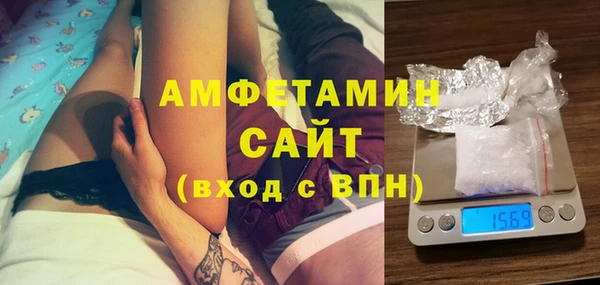 гашик Алексин